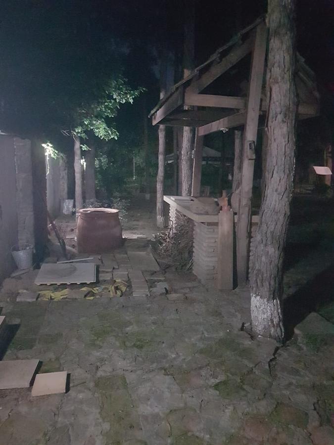 Rare House With Garden Villa Tbilisi Ngoại thất bức ảnh